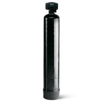 WECO CATX-1054 Backwashing Whole House Water Filter with Catalytic Carbon