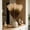 Brown, variant on Artificial Pampas Grass Faux Dried Flowers Bouquet, 20 Stems Plastic Neutral Reed Sprays for Vase, Home Decor, Wedding Centerpiece, Boho Floral Arrangement