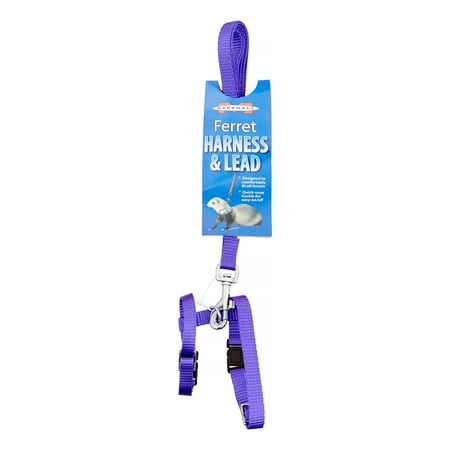 - Marshall Pet Products Ferret Harness & Lead, Assorted Colors