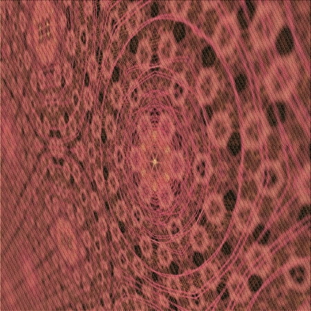 

Ahgly Company Indoor Square Patterned Grapefruit Red Area Rugs 5 Square
