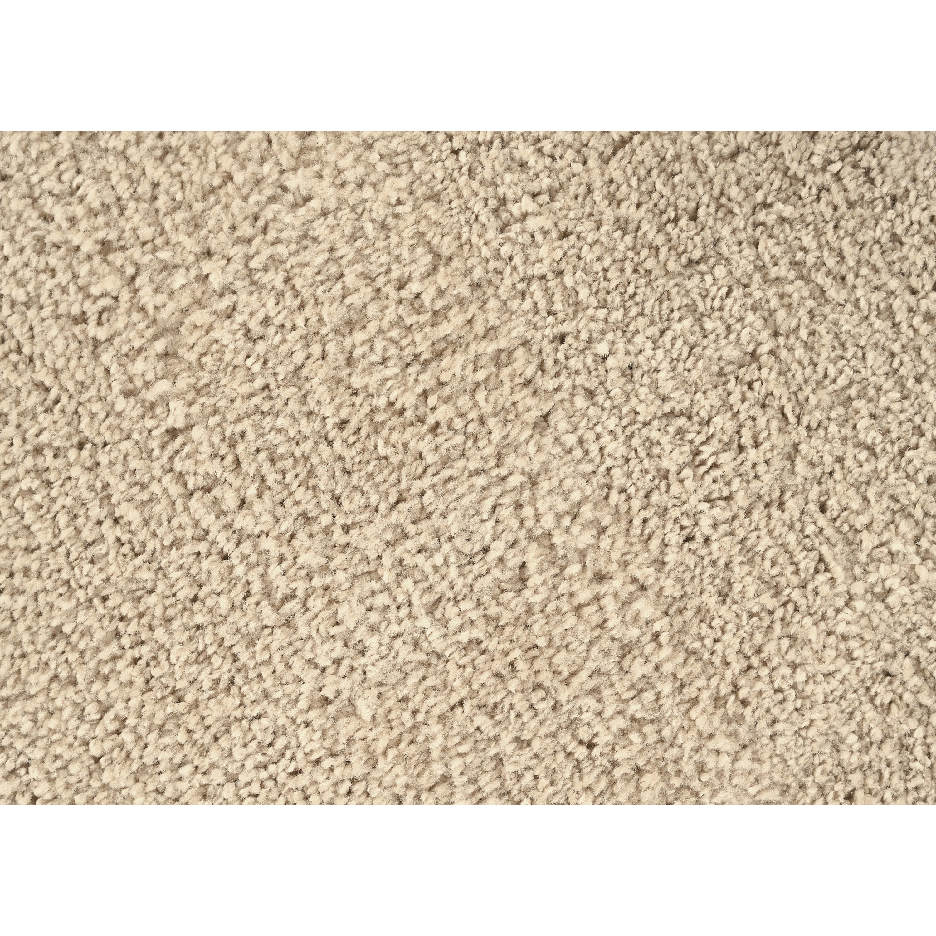 Garland Rug Palmer Plush Washable Champagne Indoor Area Rug, 3' x 5'
