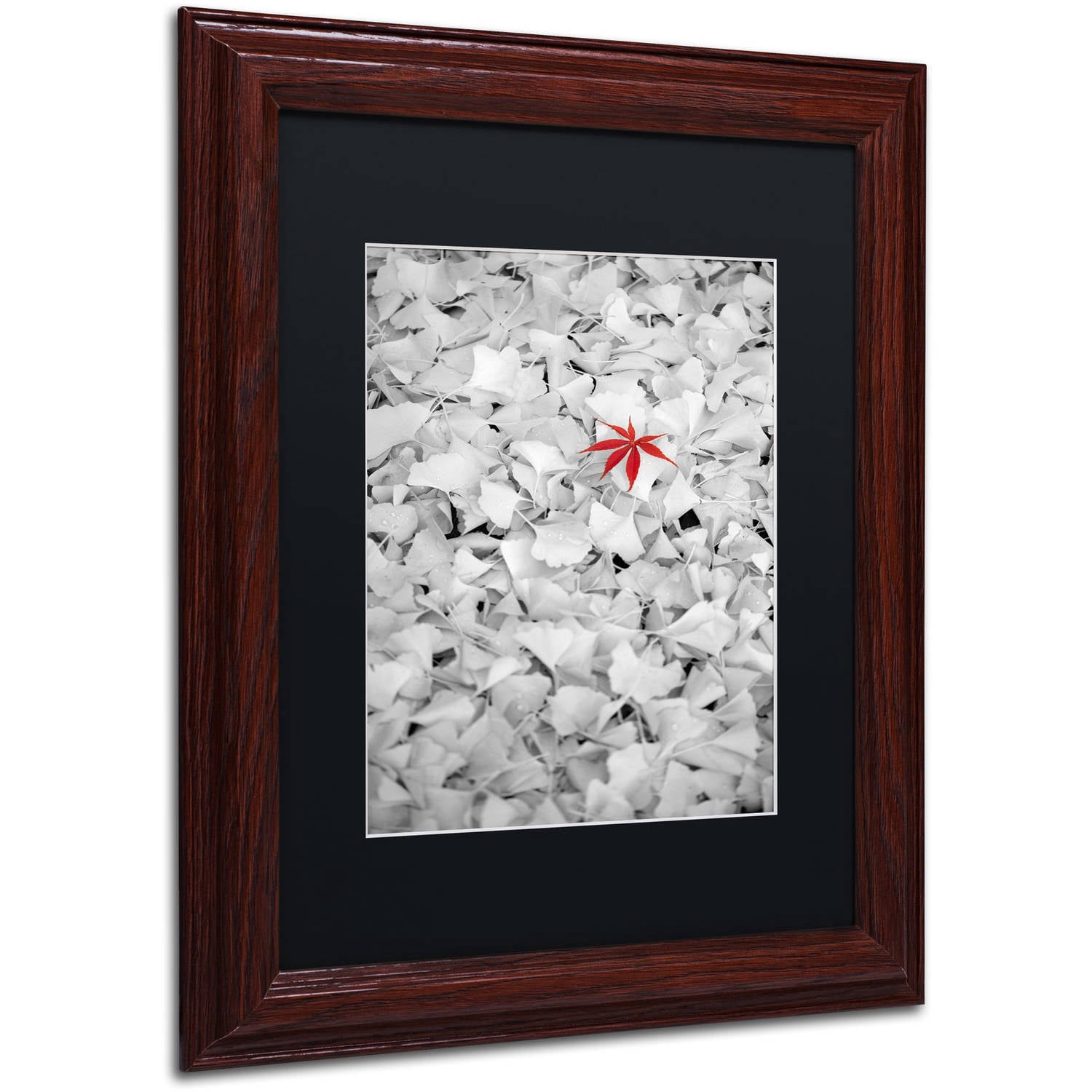 Trademark Fine Art "Rebel Leaf" Canvas Art by Philippe Sainte-Laudy Black Matte, Wood Frame
