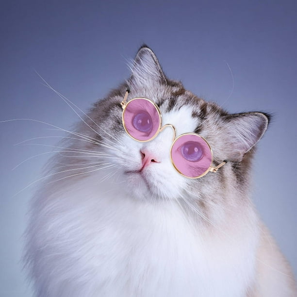 Lunettes de Soleil pour Animaux Protection UV Chat Classique