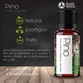 thumbnail image 2 of OLEOS Aceite Esencial de Pino 10 ml. 100% puro y natural Vida Scents OLEOS_Pino_10, 2 of 5