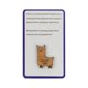 thumbnail image 1 of Tarjeta De Madera Pequeña Bolsa De Madera Para Abrazar Regalo Tarjeta De Madera Regalo Un Pequeño Abrazo De Bolsillo Con Tarjeta Para Regalo De Aislamiento Te Echo De Menos, Pienso En Ti Regalo, 1 of 2