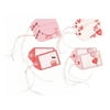 Martha Stewart Crafts Valentine Pre-Made Tags Embellishment