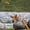 Gold, variant on Portable Pen Fishing Rod and Reel Combo Compact Travel Pole with Rotating Spool for Outdoor Anglers