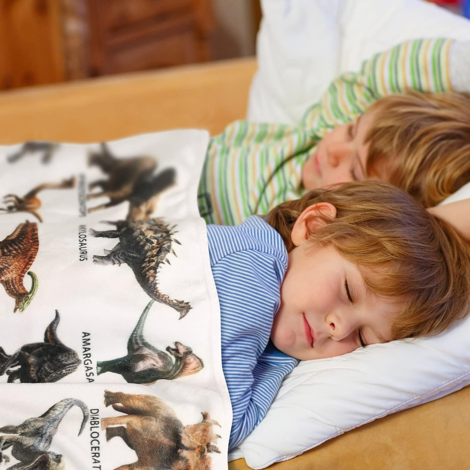 Dinosaur Blanket for Boys - Jurassic Dino Kids Teens Sofa Bed Plush Blanket, Soft Cozy Flannel Blanket Dinosaur Room Decor Gifts for Boys 50x60 Inches