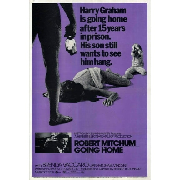 Posterazzi MOVIH1248 Going Home Movie Poster - 27 x 40 in.