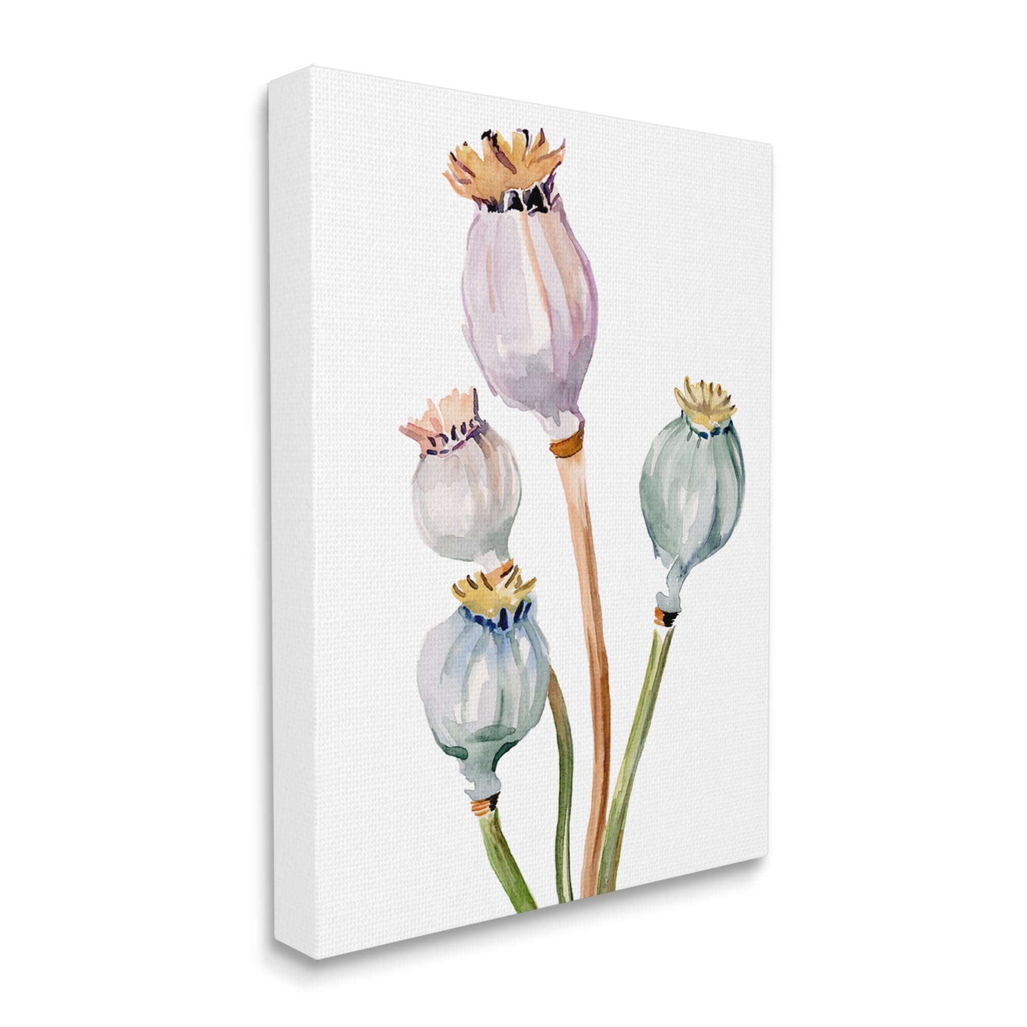 Stupell Industries Pastel Poppy Pods Watercolor Botanical & Floral Painting Gallery Wrapped Canvas Print Wall Art