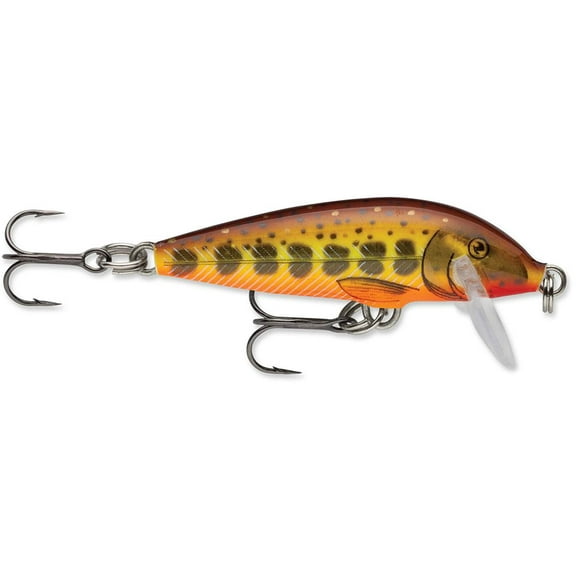 Rapala Countdown CD3 1 1/2 inch Balsa Minnow Hot Mustard Muddler