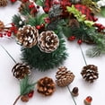thumbnail image 4 of 10/20/30 Pieces 2 Inch Christmas Natural Pine Cones Snow Tipped Natural Pine Cone with 5 Inch Green Wired Pick for Christmas Tree Decoration Home Party Holiday Decor, 4 of 7