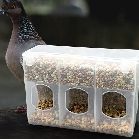 HEMOTON 2pcs Quail Cage Feeder Quail Feeder Pigeon Feeder Pigeon Supplies Bird Cage Feeder