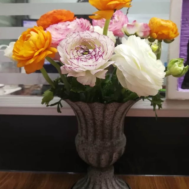 OUNONA Maceta De Hierro Forjado Vintage Para Jardinería Y Arreglo De