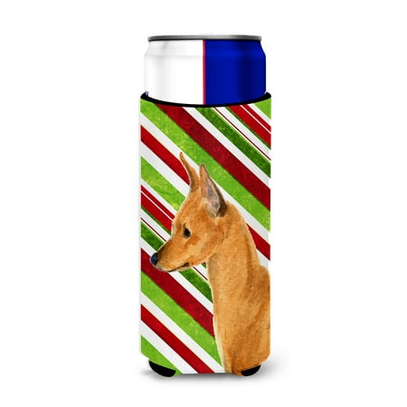 

Caroline s Treasures SS4535MUK Min Pin Candy Cane Holiday Christmas Ultra Hugger for slim cans Slim Can multicolor