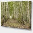 thumbnail image 2 of Dense Birch Grove in Summer Day - Forest Canvas Art Print, 2 of 4