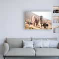 thumbnail image 3 of Trademark Fine Art 'Horses of Hofn I' Canvas Art by Laura Marshall, 3 of 3