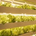 thumbnail image 5 of 4FT Integrated LED Grow Light, Full Spectrum Plant Growing Lamp With Timmer, 3000K Warm White, 12 Pack, 5 of 6