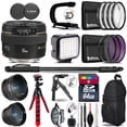 thumbnail image 1 of Canon EF 50mm f/1.4 USM - Video Kit + LED KIt + Monopad - 64GB Accessory Bundle (International Version), 1 of 11