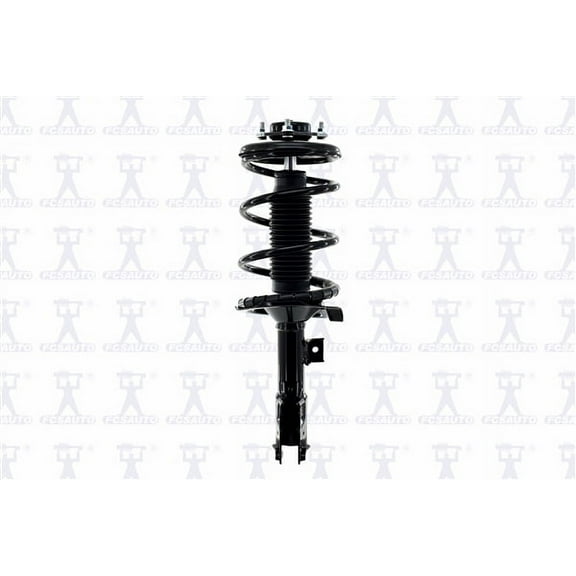 Suspension Strut and Coil Spring Assembly