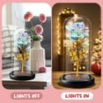 thumbnail image 6 of Qoosea Valentines Day Decorations, Artificial Flowers for Outdoors Indoors, Birthday Gifts for Women, Colorful Eternal Flowers Eternal Rose Butterfly with Led Lights Home Decor, 6 of 8