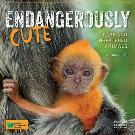 Endangerously Cute 2017 Calendar: Rare and Threatened Animals