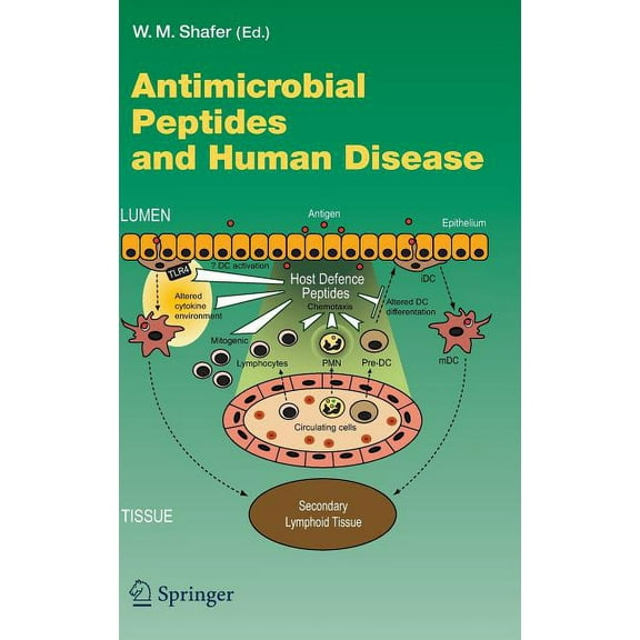 Current Topics in Microbiology and Immmu Antimicrobial Peptides and Human Disease, Book 306, (Hardcover)