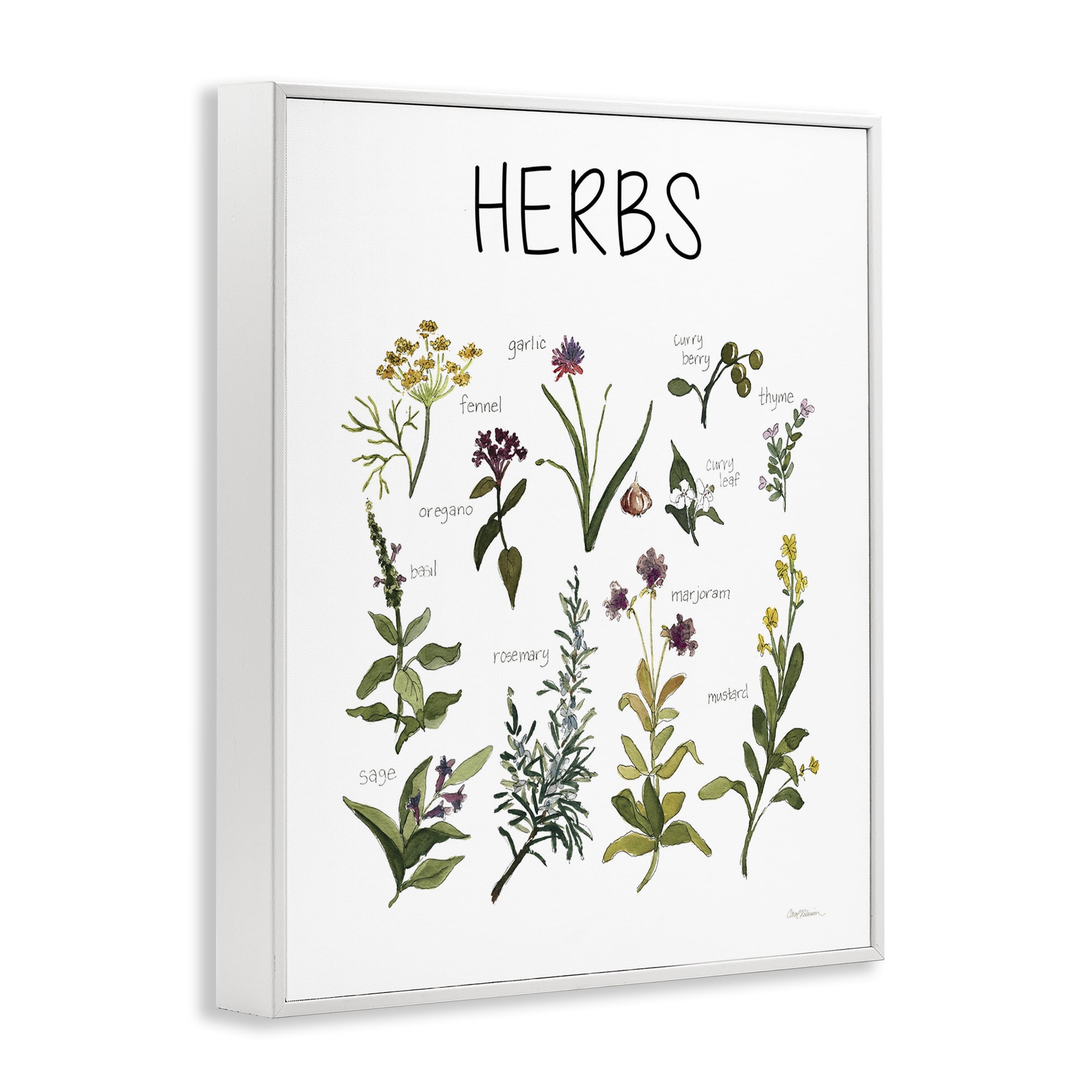 Stupell Industries Herbs Identification Chart White Framed Giclee Art, design by Carol Robinson