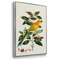thumbnail image 2 of Bird in Habitat III - Framed Premium Gallery Wrapped Canvas L Frame 3 Piece Set - Ready to Hang, 2 of 4