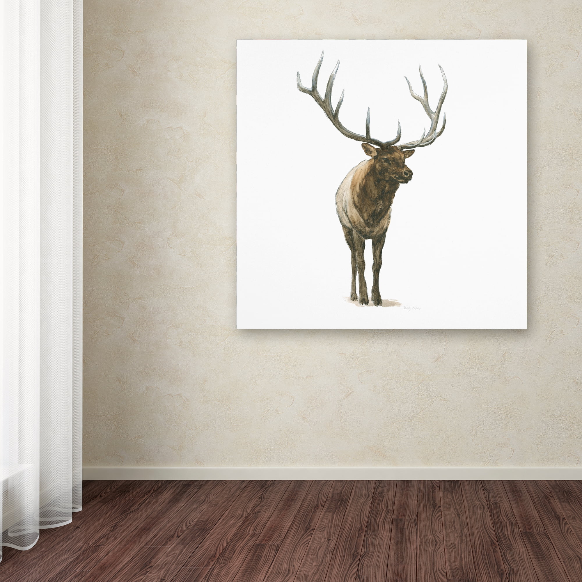 Trademark Fine Art 'Natural Majesty I' Canvas Art by Emily Adams