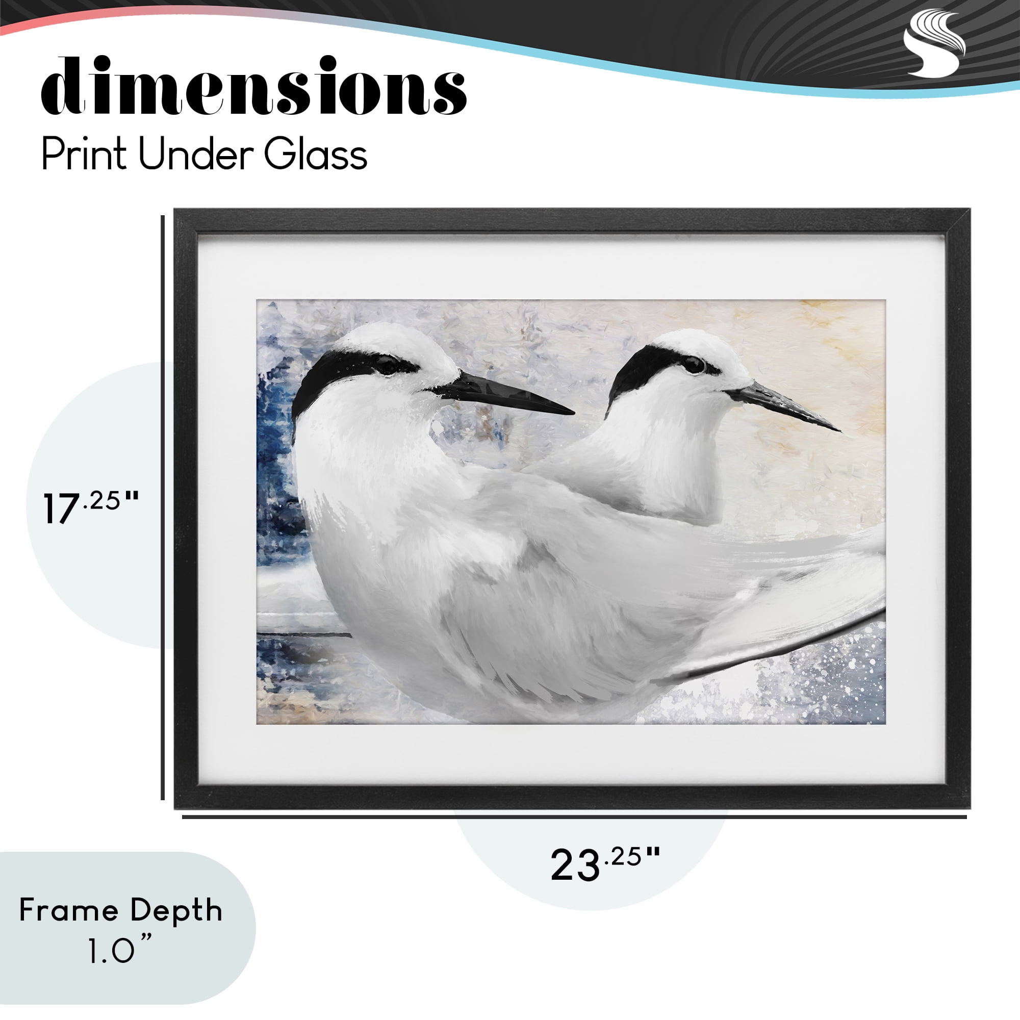 Stupell Industries Black Naped Tern Black Framed Print Under Glass, design by Porter Hastings