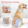 thumbnail image 3 of HQREA Breathable Dog Recovery Suit Female Male Dog Post-Operative Clothing for Neuter After Surgery Pet Protective Gown for Medium Large Dogs, 3 of 6