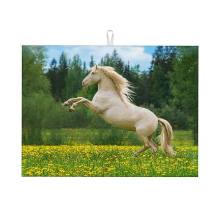 

Cauagu Dish Drying Mat 24*18 inch Absorbent Dish Drainer Kitchen Counter Dish Drying Pad for Countertops Sinks Draining Racks( Horse Rearing Up In The Field)