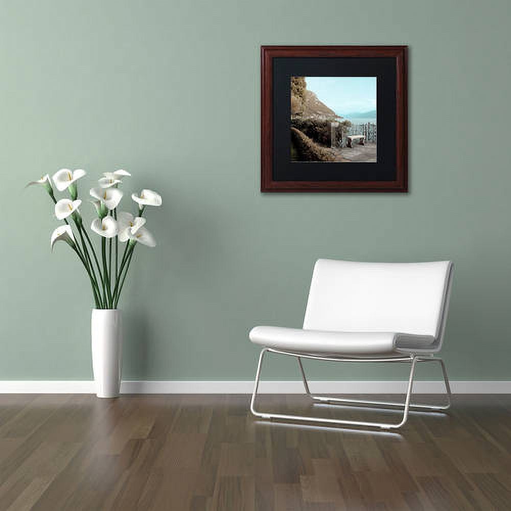 Trademark Fine Art "Lake Vista IV" Canvas Art by Alan Blaustein, Black Matte, Wood Frame