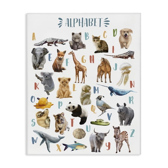 Stupell Industries Eclectic Kid's Playful Animal Alphabet Whimsical ABC's Canvas Art, 16 x 20, by Ziwei Li