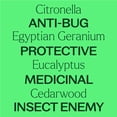 thumbnail image 4 of Plant Therapy Nature Shield Essential Oil Blend 10 mL (1/3 oz) 100% Pure, Undiluted, Natural Aromatherapy, 4 of 9
