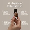 thumbnail image 2 of Cliganic, Essential Oil Blend, Balance, 0.33 fl oz (10 ml), 2 of 2