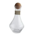 thumbnail image 1 of Decantador de vino BLESIY de vidrio soplado a mano 1000ml Estilo A, 1 of 8