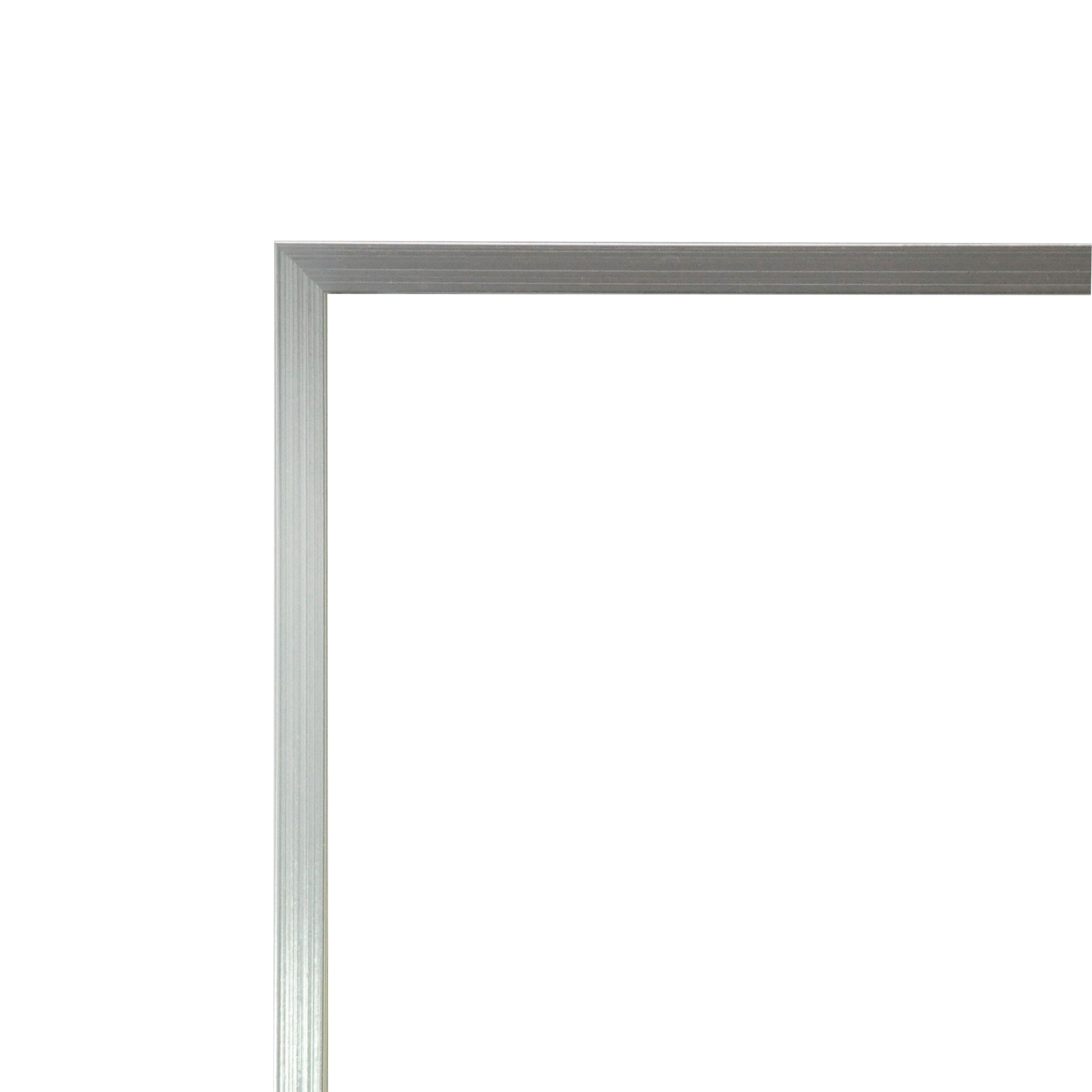 Rayne Romeo Silver Sheen Full Body Mirror 20.25 x 58.25