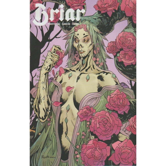 Briar (Boom!) #4A VF ; Boom! Comic Book