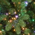 thumbnail image 2 of National Tree Company 7.5 ft. Newberry® Spruce Tree with Dual Color® LED Cosmic Lights®, 2 of 7