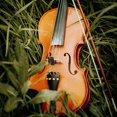 thumbnail image 4 of Rubber Silencer Small Viola Ultra-Quiet Exercise Device Violin Mute Full Size Small Mute Musical Instrument Replacement Red 4PCS, 4 of 5
