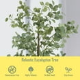 thumbnail image 2 of Indoor Faux Artificial Eucalyptus Tree, 6ft, 2 of 8