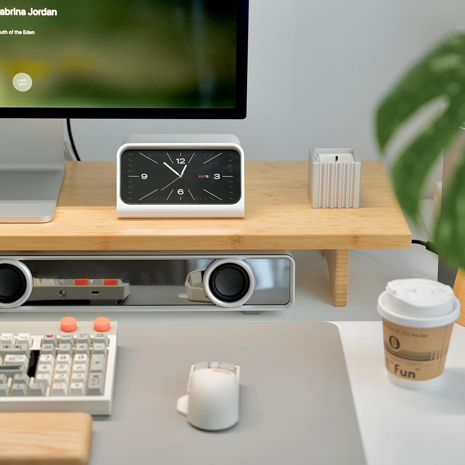 Dual Monitor Stand Riser, 2-Tier Bamboo Desk Shelf for Computer Monitors, Printer, and Heavy TV up to 300 lbs