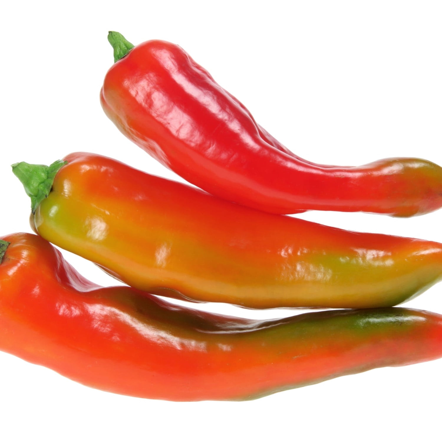 Proven Winners 4" Hungarian Hot Wax Pepper Live Plant in 4.25" Pot (4 Count)