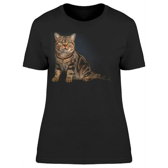 Pretty Shorthair Cat Sitting T-Shirt Women -Image by Shutterstock, Female Large