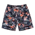 thumbnail image 1 of Pantalones de playa de secado rápido para hombre, pantalones de cinco piezas, pantalones de baño, pantalones cortos casuales grandes estampados, 1 of 7