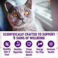 thumbnail image 4 of Wellness Complete Health Chicken & Rice Dry Cat Food, 2.27-kg bag, 4 of 5