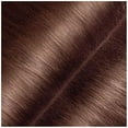 thumbnail image 3 of Garnier Express Retouch Gray Hair Concealer, Light Brown, 3 of 10