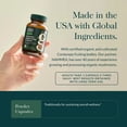 thumbnail image 4 of Gaia Herbs Everyday Mushroom & Herbs - Mushroom & Herbal Support Supplement to Help Aid Overall Wellness* - With Turmeric, Astragalus, Schisandra, Cordyceps, Chaga - 60 Vegan Capsules (60 Servings), 4 of 10